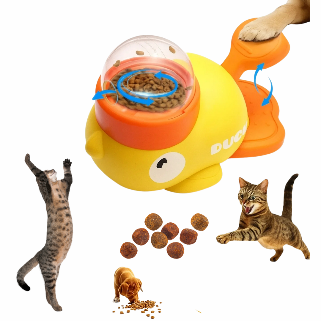 ¿Tu gato pasa demasiado tiempo durmiendo o sin moverse?