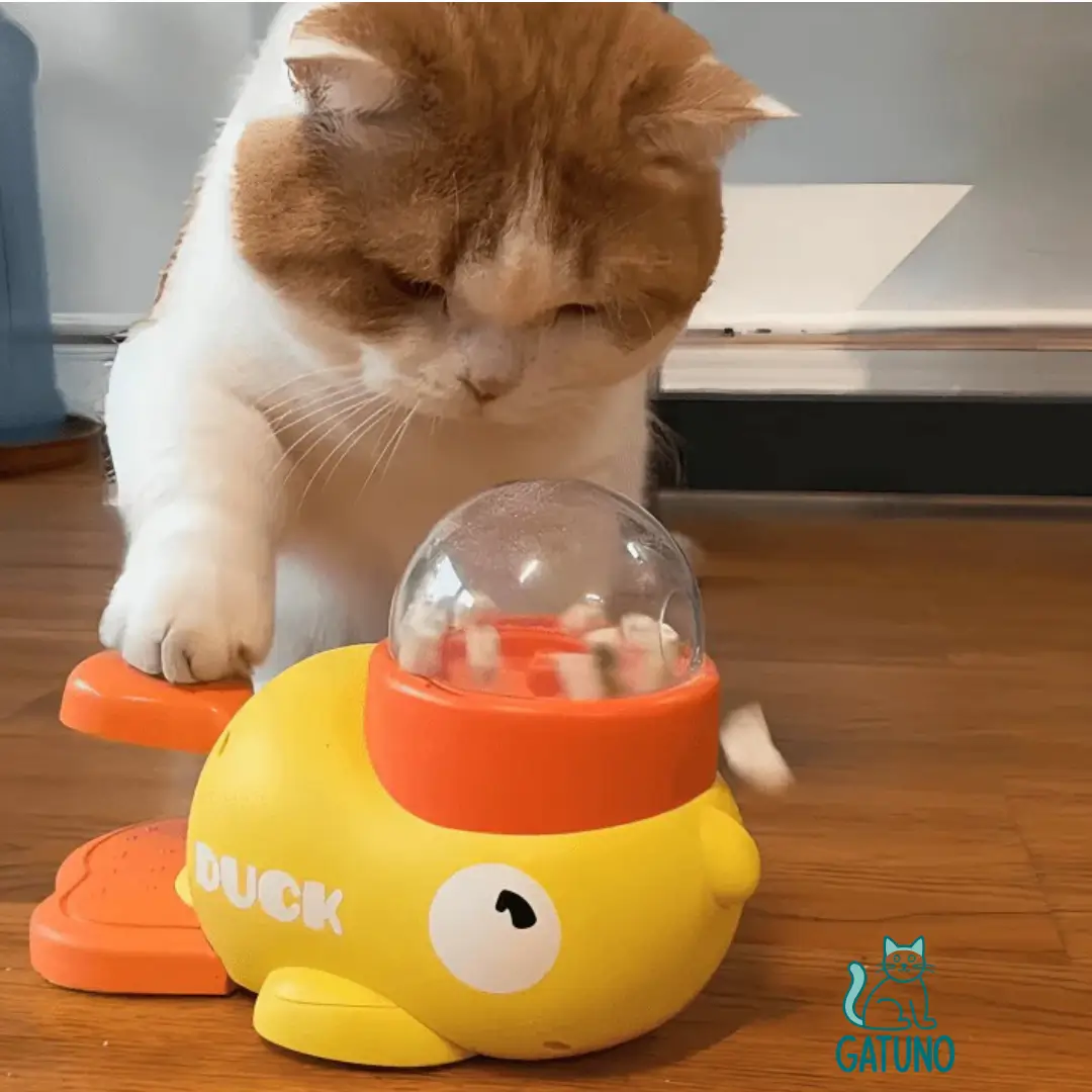 sólo para amantes de los gatos