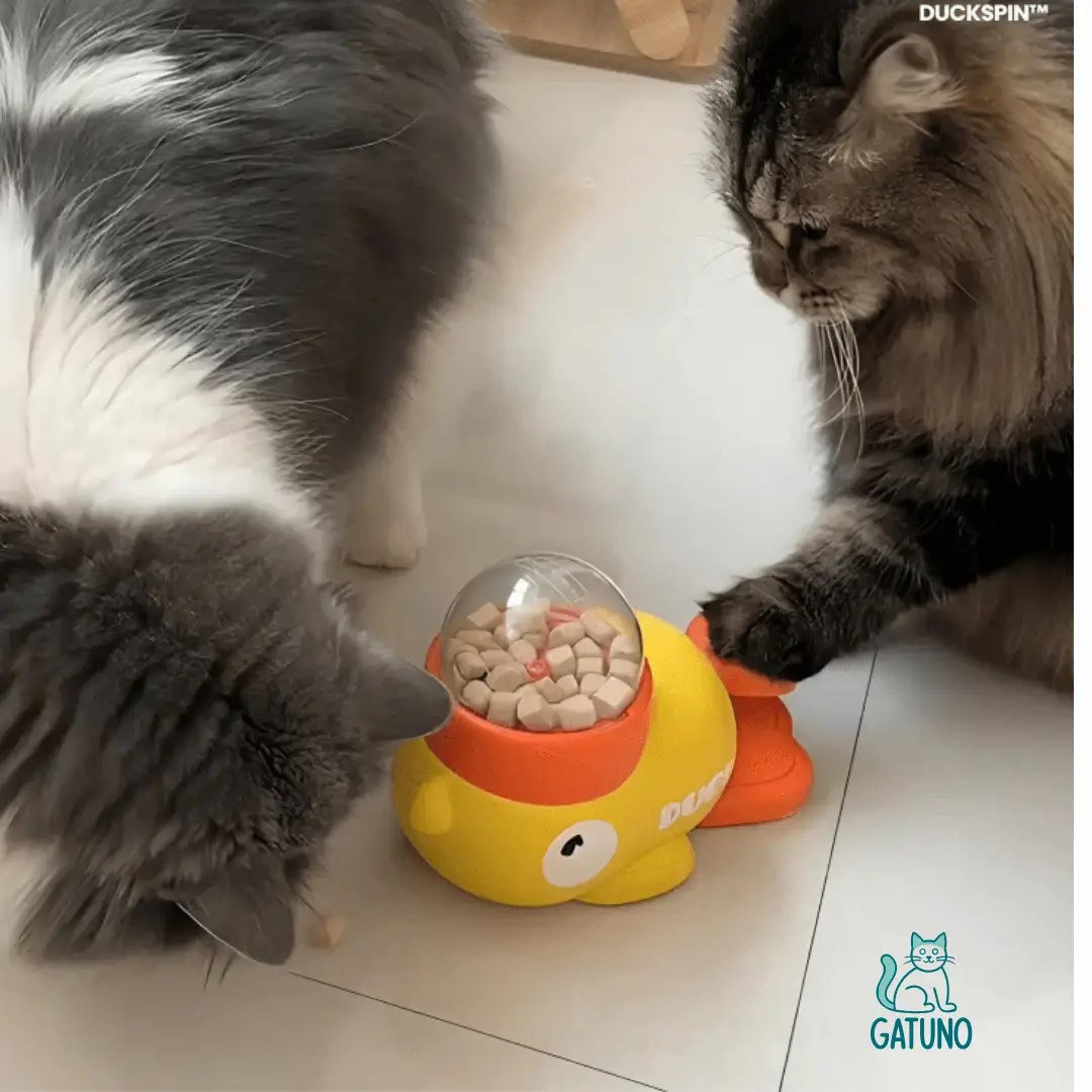 juguete dispensador de premios para gatos
