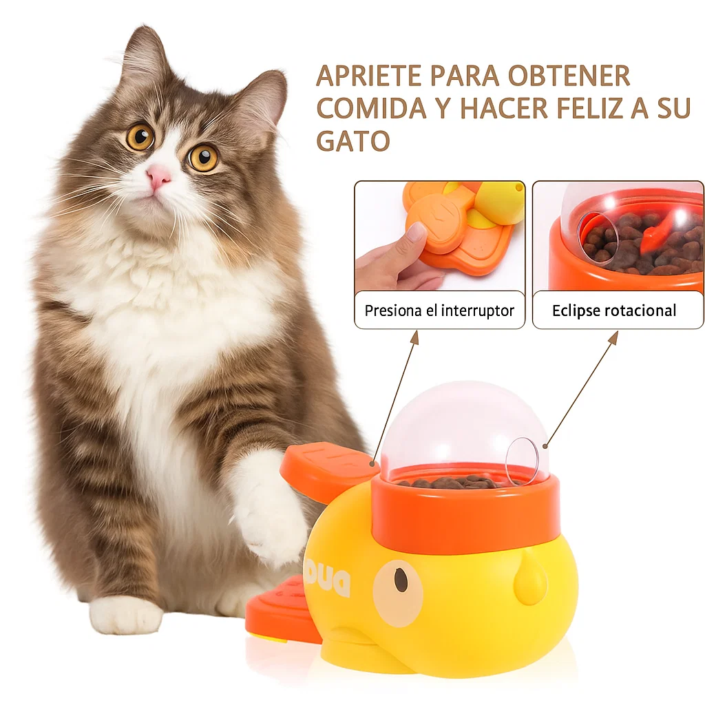 ¿Tu gato devora la comida y luego la vomita?